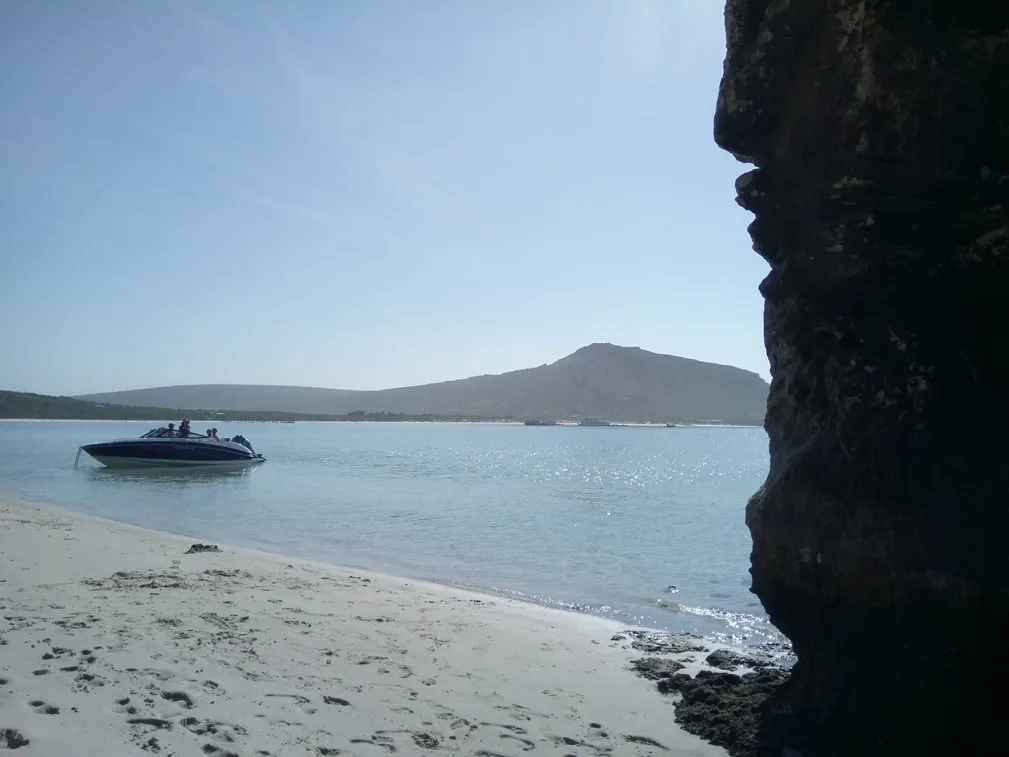 Best places to enjoy spring in Cape Town and surrounds