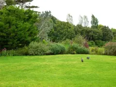 House Gordon in Constantia – photo 8 thumbnail