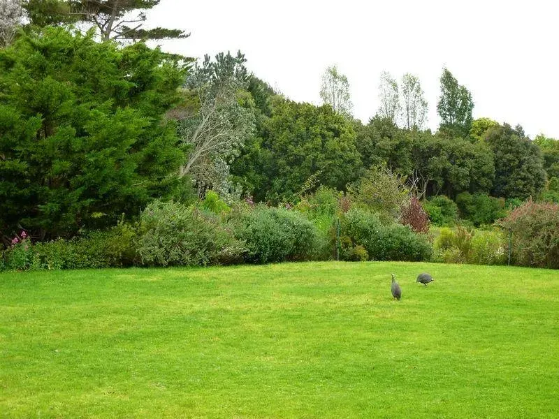 House Gordon in Constantia – photo 8