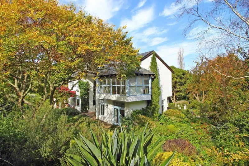 Constantia Sunbird in Constantia – photo 19