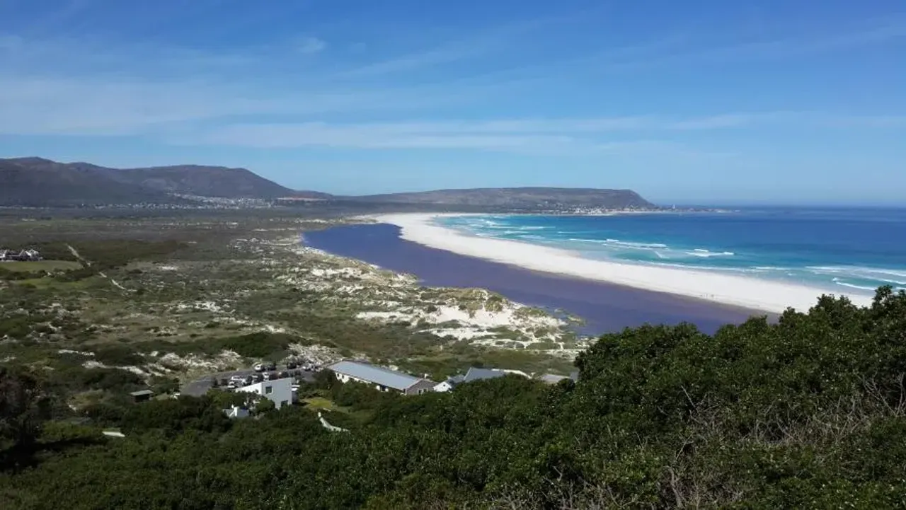 Noordhoek Albatros in Chapmans Peak