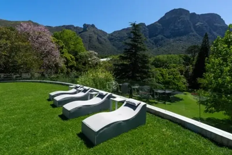 Organic House in Bishopscourt – photo 6