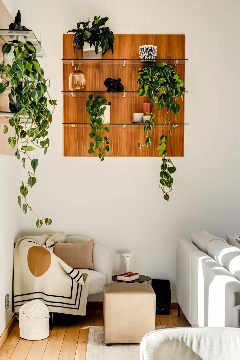 Elevea in Cape Town – photo 9