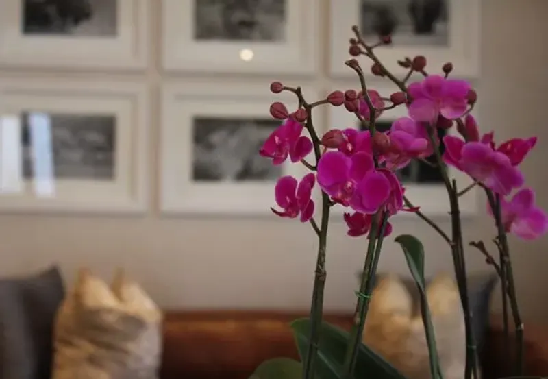 Sugar Villa Hotel in Green Point – photo 17