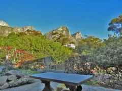 Tree House in Bakoven – photo 14 thumbnail