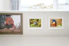 Quenera Apartment in Camps Bay – photo 10 thumbnail