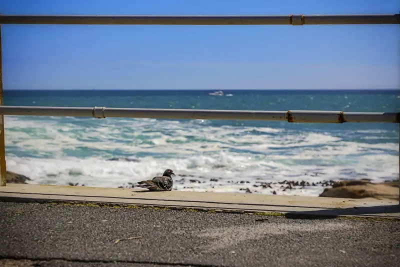Bantry Luxe Apartment 2 in Bantry Bay – photo 9