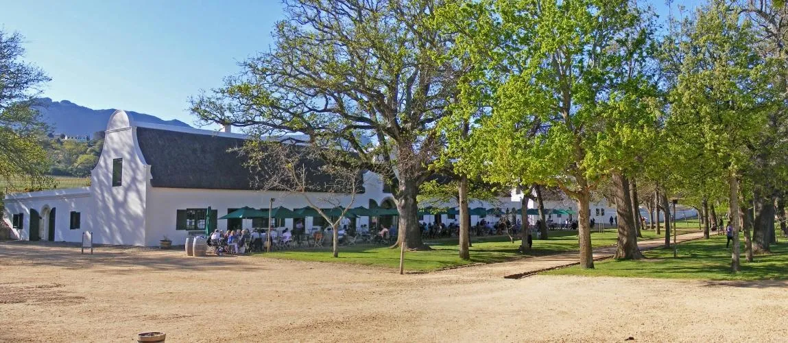 Winelands Restaurants we love