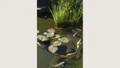 Hout Bay Mansion in Hout Bay – photo 37 thumbnail