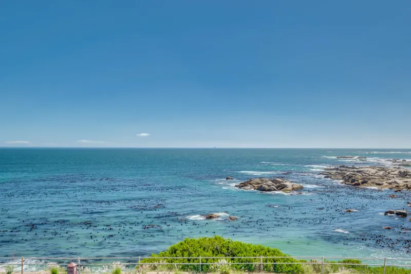 Bali Luxury Suite E in Camps Bay – photo 12