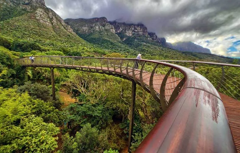 Outdoor Excursions You Can’t Miss in Cape Town