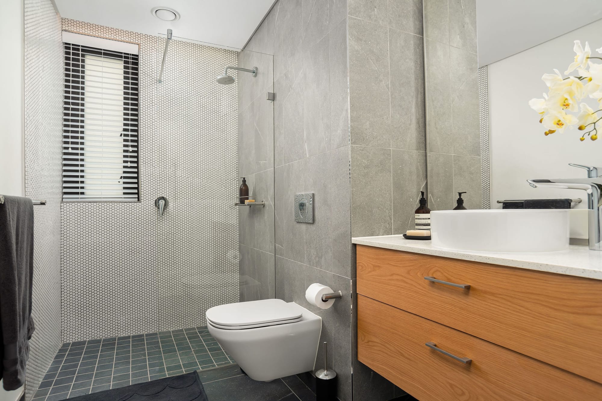 property_2c688413-dcc7-4fa9-9eb1-8b2efc4f8945_24