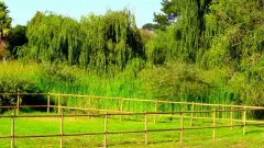 Welgelee Constantia in Fir Grove – photo 1 thumbnail