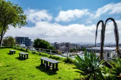 116 DWP in De Waterkant – photo 33 thumbnail