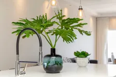 Summer Place in Camps Bay – photo 14 thumbnail