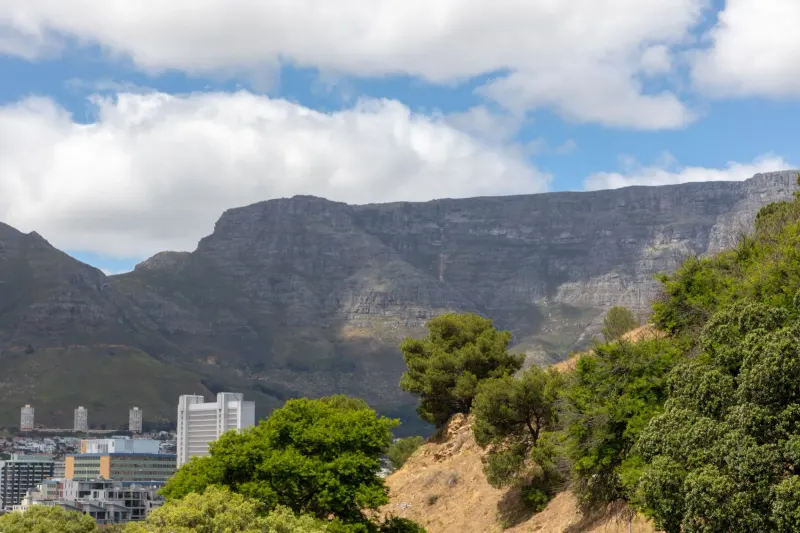 207 DWP in De Waterkant – photo 33