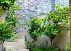 Villa Lush in Clifton – photo 2 thumbnail