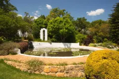 Old Nector Manor in Stellenbosch – photo 2 thumbnail