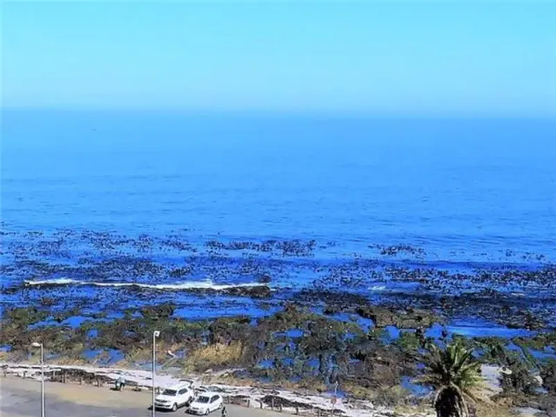 Seahill Luxury Apartment in Mouille Point – photo 19