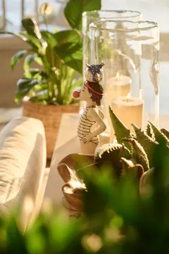 Ivory Glen Villa in Camps Bay – photo 27 thumbnail