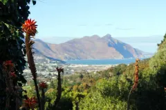 Ruyteplaats Lodge in Hout Bay – photo 1 thumbnail