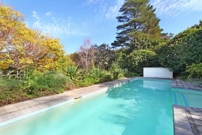 Constantia Sunbird in Constantia – photo 1