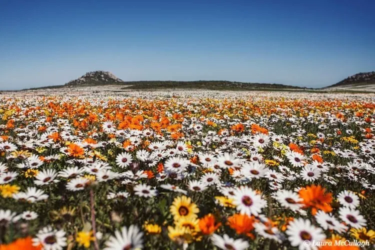 Top 10 things to do in Spring
