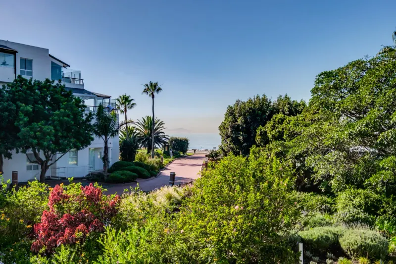 Amani Views in Mouille Point – photo 23