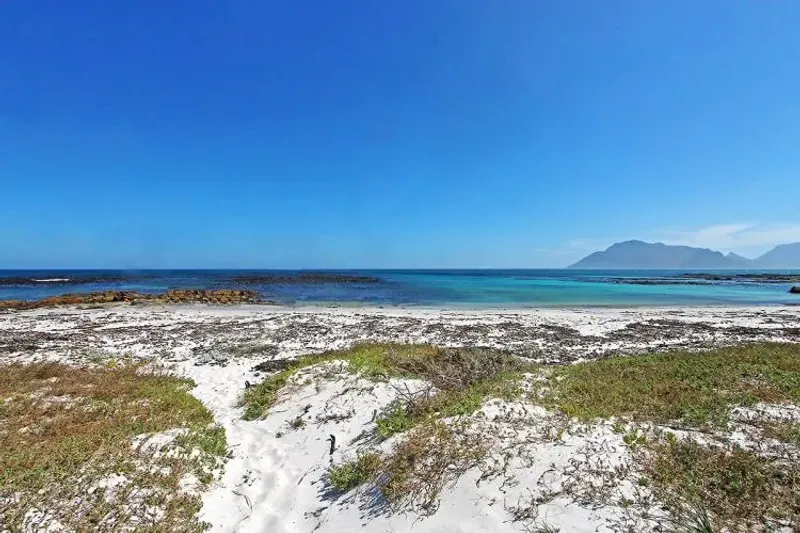 Kommetjie Beach House in Klein Slangkop – photo 3