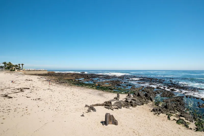 Sundowner Views in Sea Point – photo 28