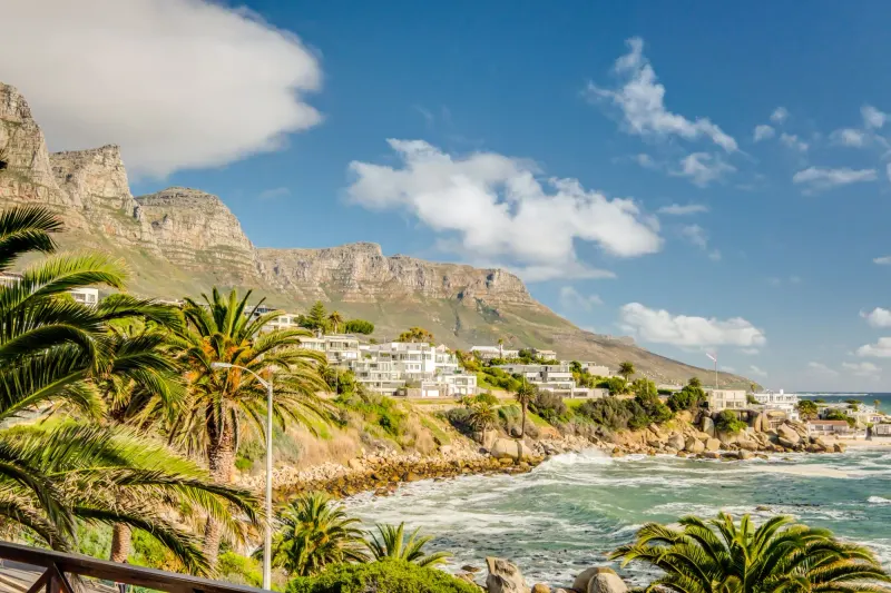 CBT Palm Suite in Camps Bay – photo 6