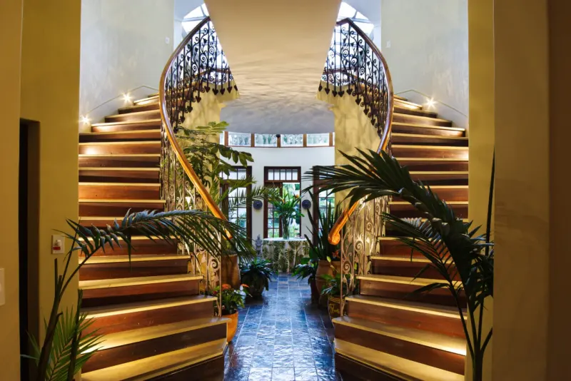 Villa Ibis in Witteboomen – photo 9