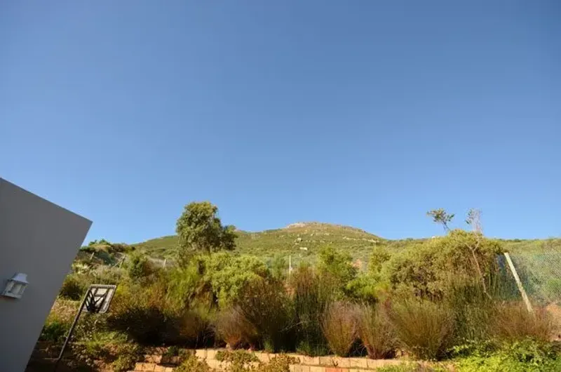 Sapphire Views in Belvedere – photo 14