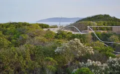 K Cottage in Keurboomstrand – photo 33 thumbnail
