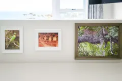Quenera Apartment in Camps Bay – photo 11 thumbnail