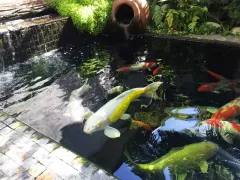 Watsonia Villa in Big Bay – photo 2 thumbnail