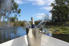 Le Jardin Villa in Stellenbosch – photo 35 thumbnail