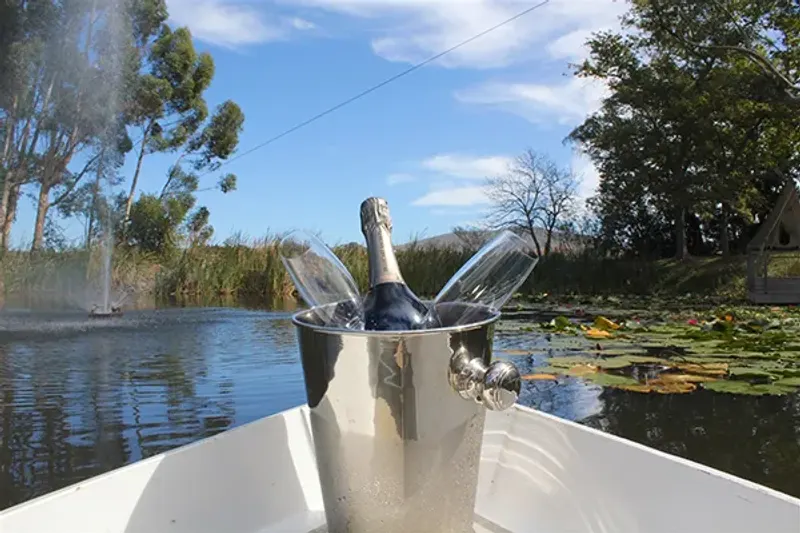 Le Jardin Villa in Stellenbosch – photo 35