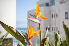 Serenity Bay in Bantry Bay – photo 24 thumbnail