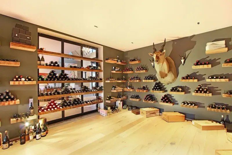 Winelands Dream Villa in Huis-In-Bos – photo 31