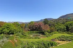 Constantia Cape Velvet in Witteboomen – photo 2 thumbnail