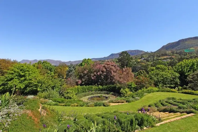 Constantia Cape Velvet in Witteboomen – photo 2