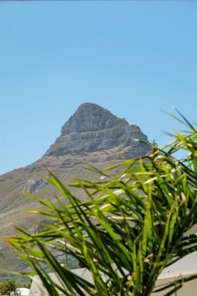 Serein in Camps Bay – photo 19