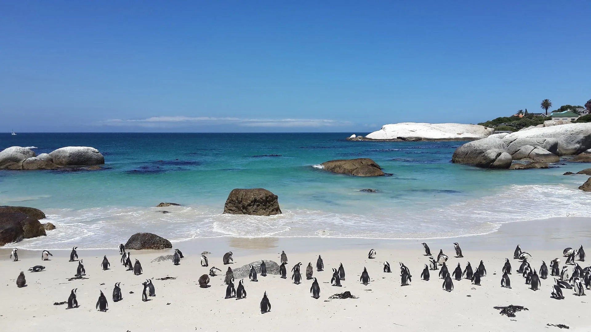 Cape Town's Most Iconic Beaches