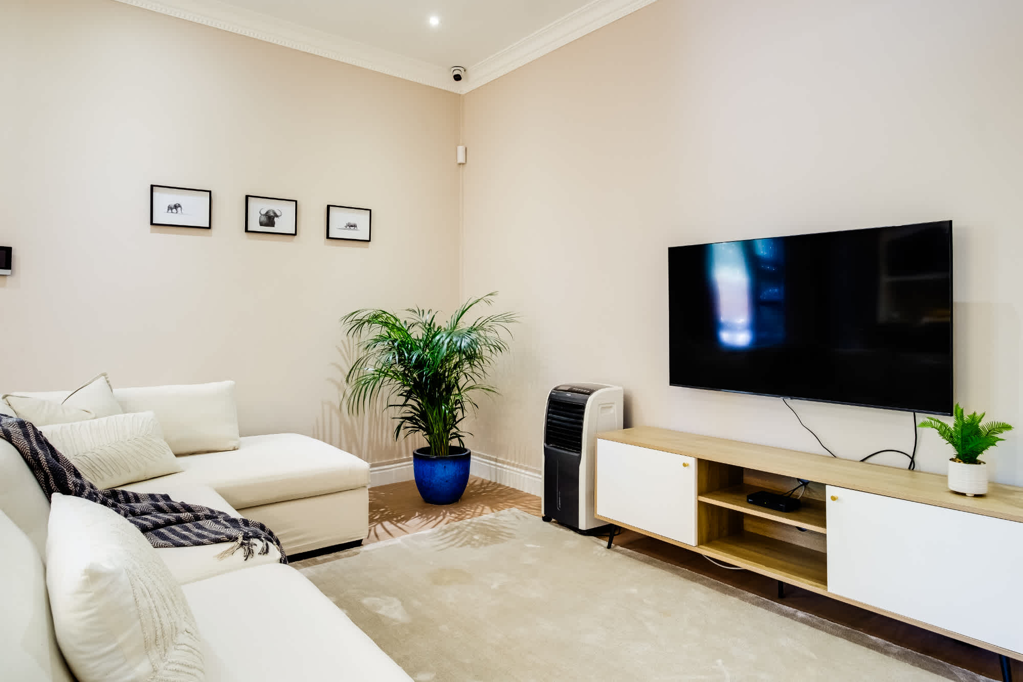 property_8848fab1-7348-466b-8003-c82d4d035c0b_41