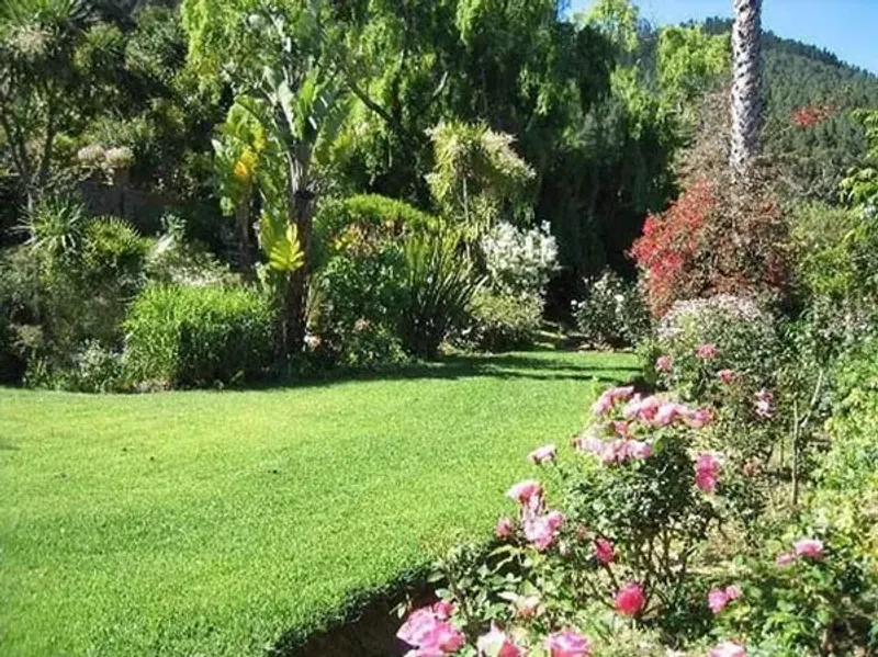 Camelot Villa in Glen Alpine – photo 8