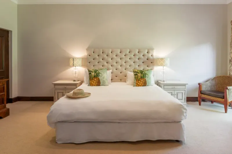 Villa Ibis in Witteboomen – photo 20