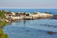 Paradiso Views in Camps Bay – photo 26 thumbnail