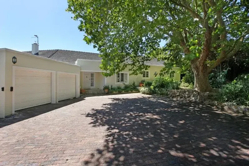 Constantia Evergreen