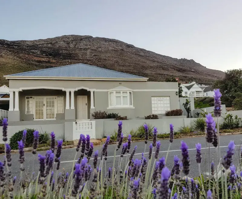 Seaside Cottage in Froggy Farm – photo 15